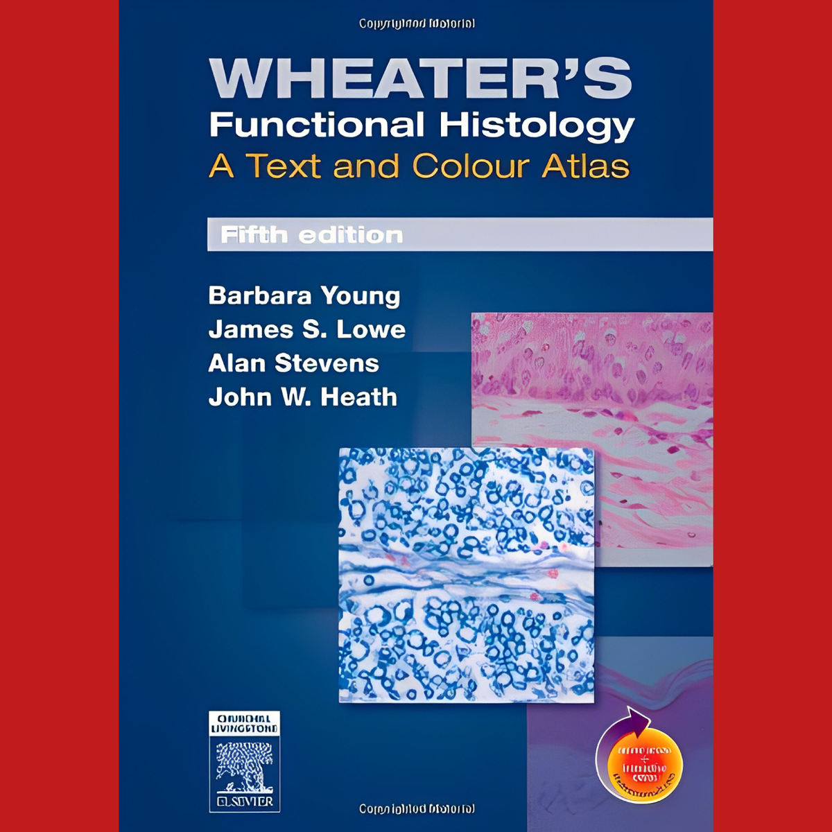 1e Bachelor: Wheater's Functional Histology - B. Young et al